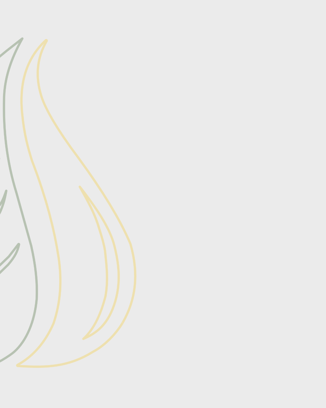 Our Rebranding Journey