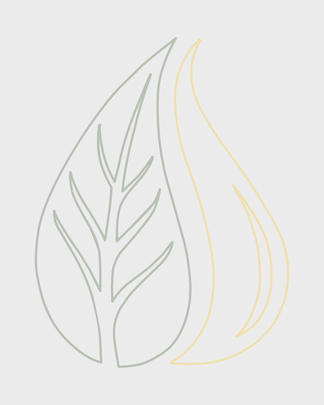 Our Experience Since 2019